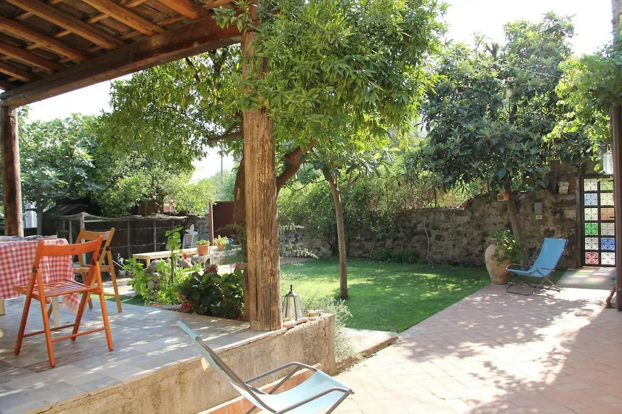 Holiday home Il Pozzo E L'Ulivo - Just 200 Meters From The Metro - Villa Catania