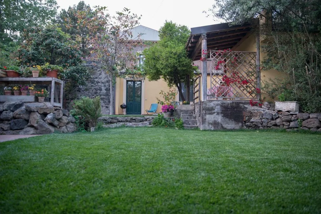 Il Pozzo E L'Ulivo - Just 200 Meters From The Metro - Villa Catania Holiday home